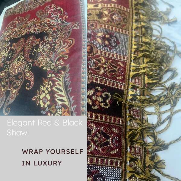 Warm Cozy Winter Pashmina Shawls